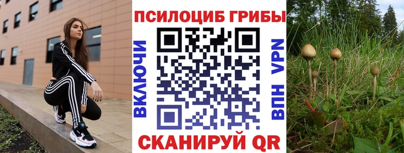 Псилоцибиновые грибы прущие грибы  Балахна 