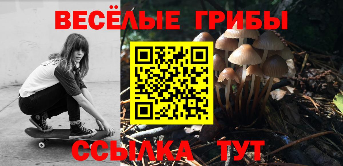 Галлюциногенные грибы GOLDEN TEACHER  что такое наркотик  Балахна  Вход с VPN 