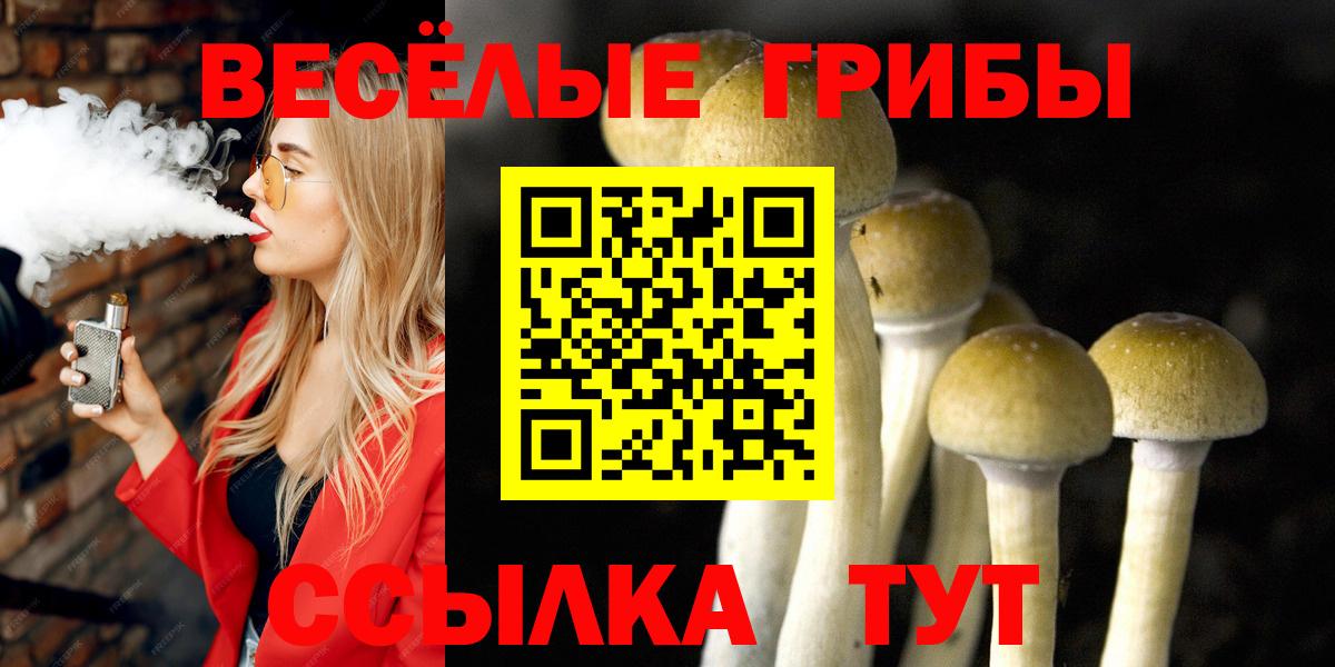 Галлюциногенные грибы Psilocybe Балахна