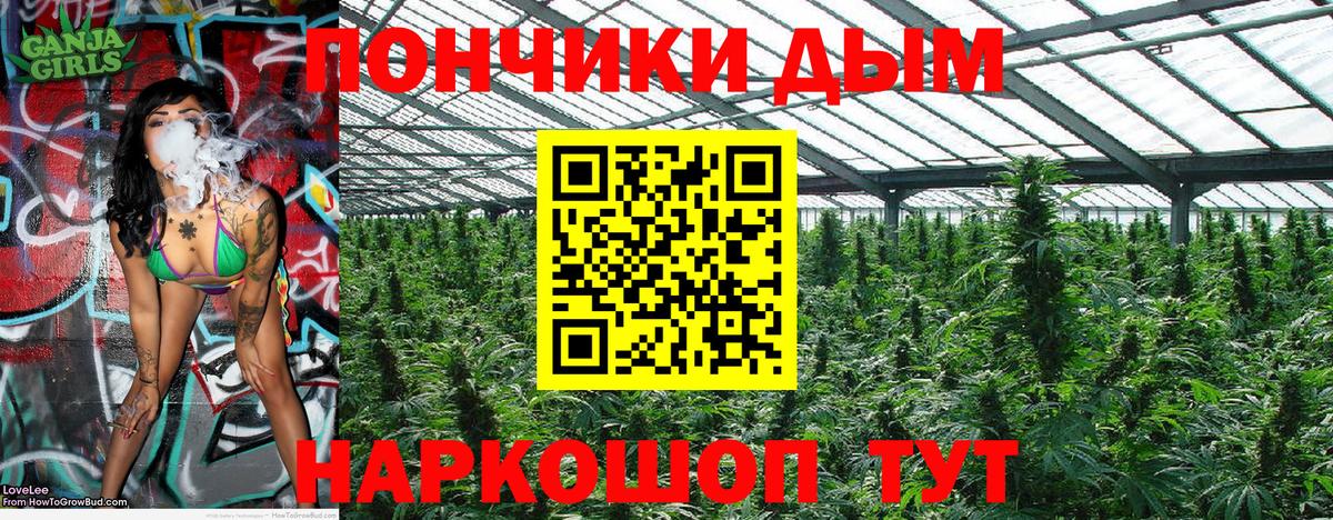 Бошки марихуана Ganja Балахна